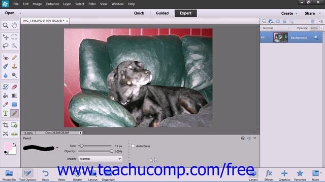 Photoshop Elements 12 Tutorial the Pencil Tool Adobe Training Lesson 6.5 смотреть онлайн