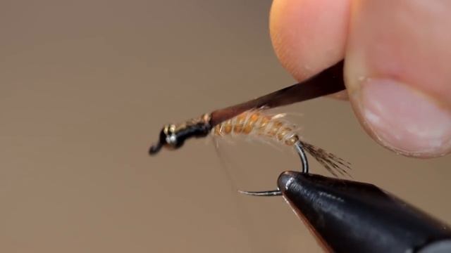 Golden stonefly nymph смотреть онлайн