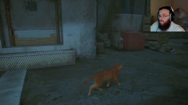 CAT ADVENTURE! | Stray #1 смотреть онлайн