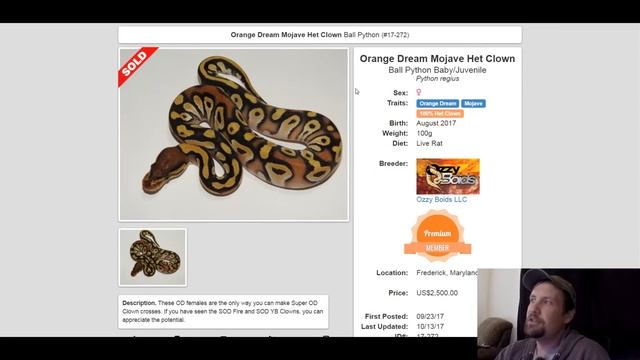 Mojave Ball Python Morph Combos | Jack's Reptiles смотреть онлайн