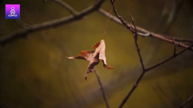 "CLEANSE YOUR MIND" Relax, Calm, Peace, Study, Sleep, Healing - Beautiful Background Music смотреть онлайн