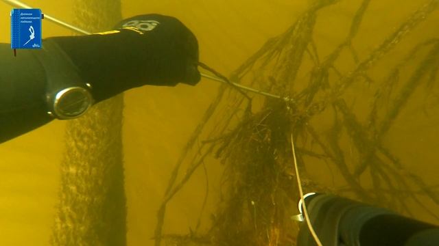 Охота на язя. Будулай выдал секретные места с огромными сомами. Лопасти ЛёхаВДВ. Как распутать линь смотреть онлайн