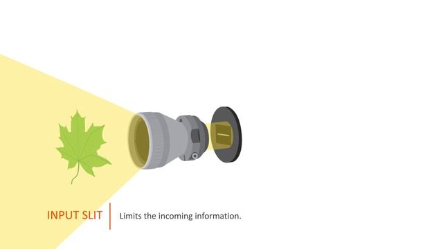 How Specim line scan hyperspectral cameras work смотреть онлайн
