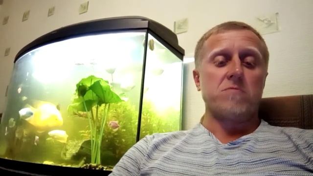 Волшебник Изумрудного города. Как вернулись к жизни Страшила и Железный Дровосек. Возвращение в Изу