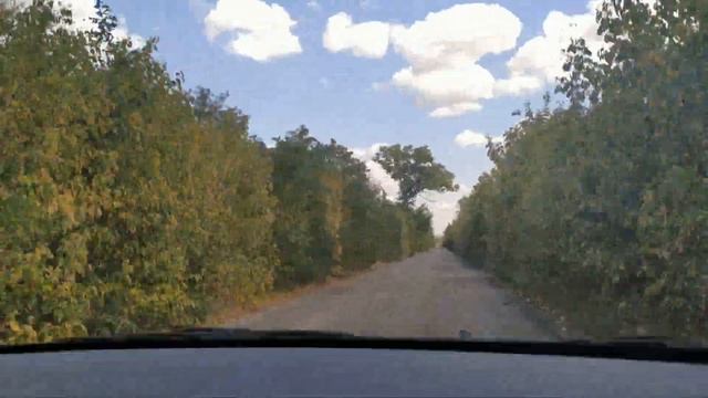 Приметы о волосах. Народные приметы поверья