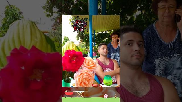 Семейный отдых на даче_шашлыки_24.08.2019 смотреть онлайн