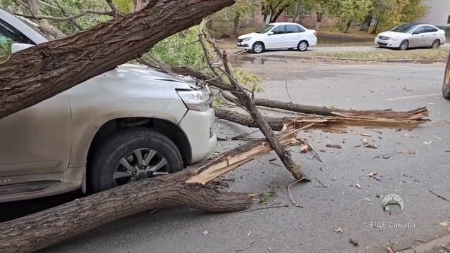 На Партизанской дерево упало на два автомобиля Перекрыто обе полосы движения смотреть онлайн