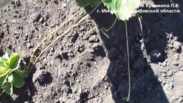 Таго 27 06 2022 г