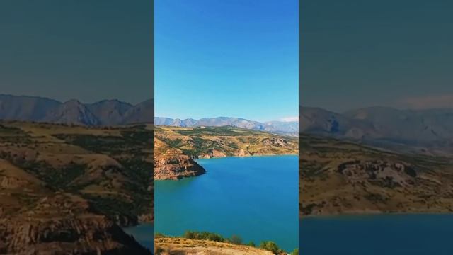 Узбекистан! ЧАРВАК! Летают тут всякие.? #shorts#чарвакское водохранилище#гульзода0808 смотреть онлайн