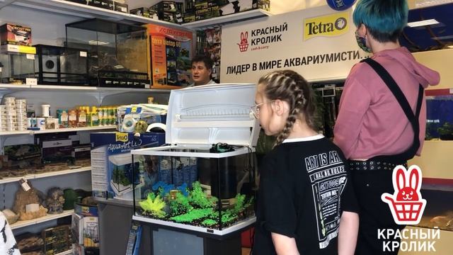 Мастер-класс по аквариумистике? для зоогипермаркета «Красный кролик». Фантазийный аквариум смотреть онлайн