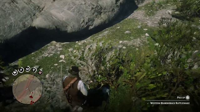 Da Fuck Is Wrong With This Horse?