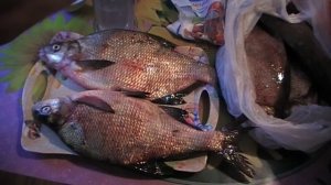 Засолка крупной речной рыбы  .  Мой рецепт !