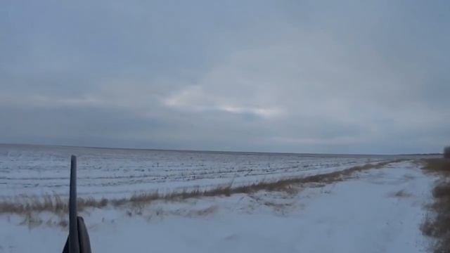 Охота на зайцев - Яркие моменты 2015-2016 смотреть онлайн
