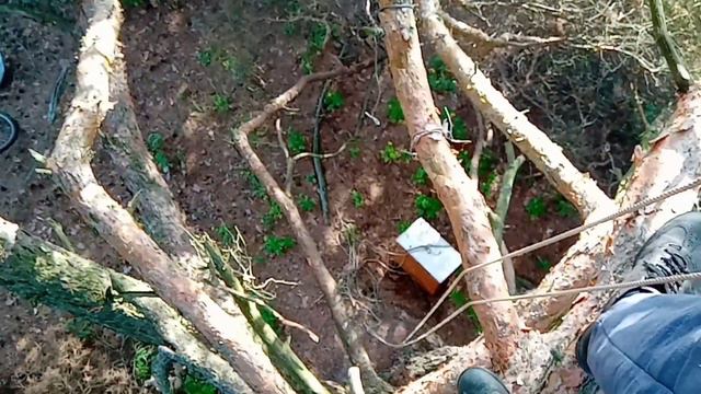 Поставил две ловушки для роев.. смотреть онлайн