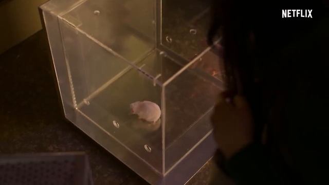 ? Лучшие новые сериалы, вышедшие в январе 2022 ? смотреть онлайн