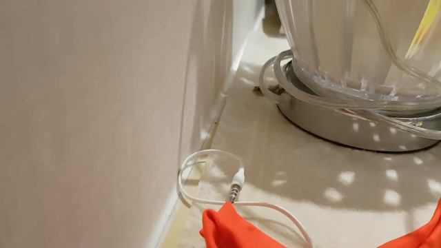 Дома завелся геккон. Домашний питомец смотреть онлайн