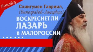 Воскреснет ли Лазарь в Малороссии? Проповедь о.Гавриила. Кавказский скит.  Верую @user-gw3kj1lb7j