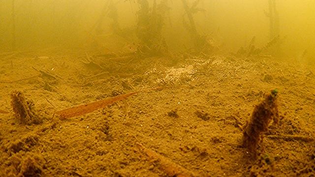 ХЛЕБ против МАГАЗИННОЙ ПРИКОРМКИ!!! РЕАКЦИЯ РЫБЫ НА ПРИКОРМКУ!!! Зимняя рыбалка. Подводные съёмки. смотреть онлайн