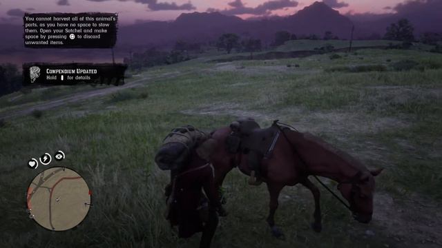 Red Dead Redemption 2 / Kötü Adam olup herkesi katlettim смотреть онлайн