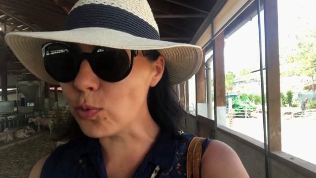 КИПР VLOG: МЫ НА ФЕРМЕ - БЛИЖЕ К ПРИРОДЕ! 05.06.18 смотреть онлайн