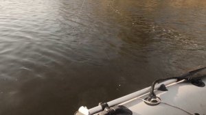 Рыбалка, отдых 12 дней в палатке. Астрахань 2021, Болхуны. Сентябрь.