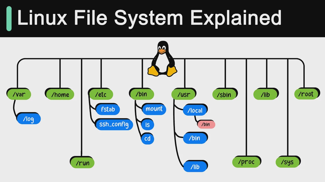 53 - Linux File System Explained! смотреть онлайн