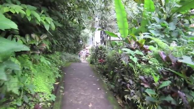 Gitgit Waterfall - Bali, Indonesia смотреть онлайн