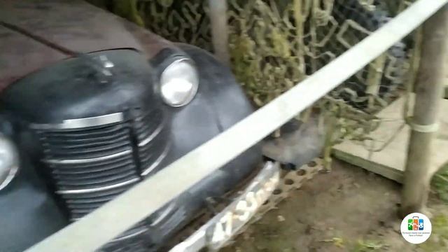 Музей авиатехники. Кафе Dakota. смотреть онлайн
