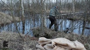 Как сделать ДЕШЁВЫЙ скрадок для ВЕСЕННЕЙ ОХОТЫ своими руками за 3 минуты.