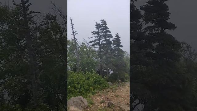 Советская гавань, мыс Бакланий, Капитанский мостик смотреть онлайн