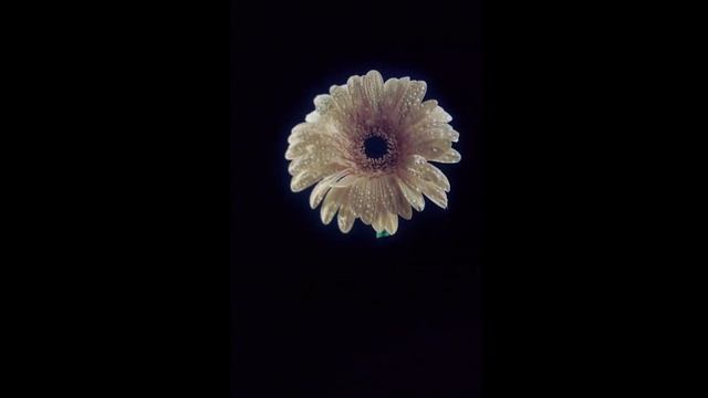 16inch MacBook Pro vs 12.9inch IPad Pro Comparison смотреть онлайн