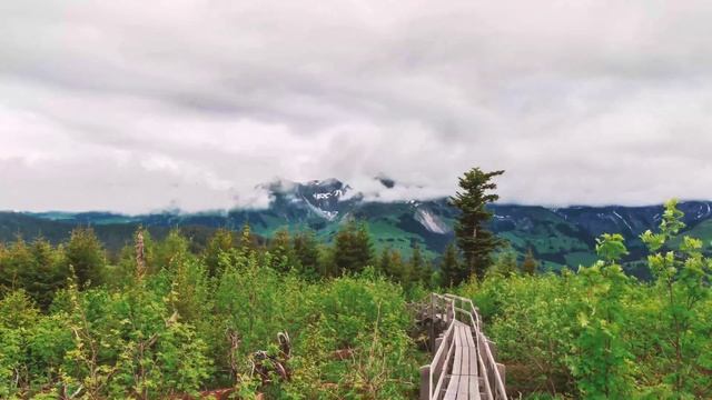 Мудрая притча: Два волка. Порассуждаем вместе? смотреть онлайн