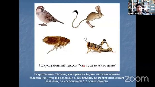 Винарский Максим Викторович. Основы биологической систематики. Часть 1. Введение в систематику. смотреть онлайн