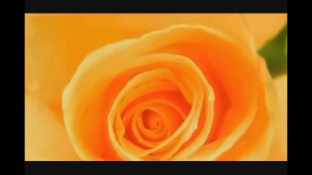 Подруге Оксане от подруги Оксаны С днем рождения дорогая !!! смотреть онлайн