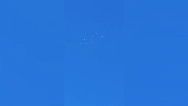 Пермские гривуны. Полёты 11.10.23. смотреть онлайн