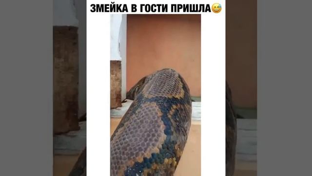 пришла в гости смотреть онлайн