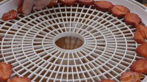 Сушеная клубника | Как сушить клубнику | Сушка клубники в электросушилке