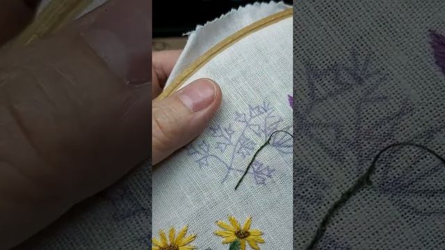 сон трава, часть 4, стебель