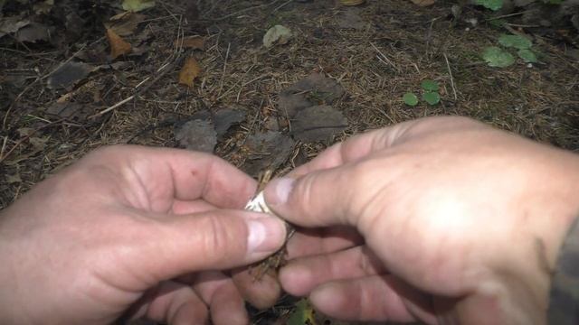 ГРИБЫ 2020. 18 ИЮЛЯ. БЕЛЫЕ И ПОДОСИНОВИКИ!!! ГОРЯЧЕЕ УТРО!!