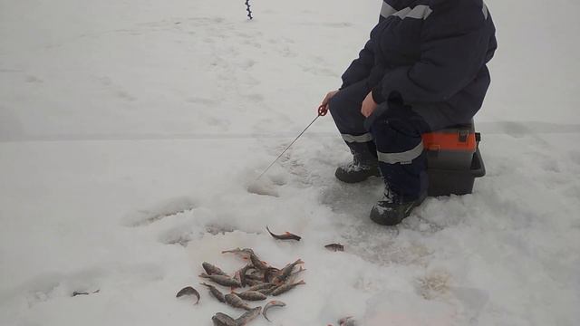 Блесна супер! Не подвела. Рыбалка класс! смотреть онлайн