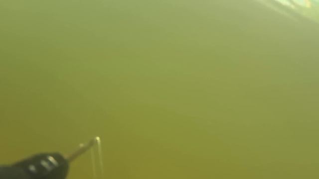 Нежданчик под водой, подводная охота, змея в мутняке - snake under water смотреть онлайн