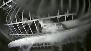 Не крутится верхний разбрызгиватель Посудомоечной машины INDEZIT IDL57