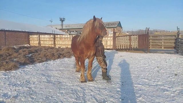 Советский тяжеловоз,,Расмус,, смотреть онлайн