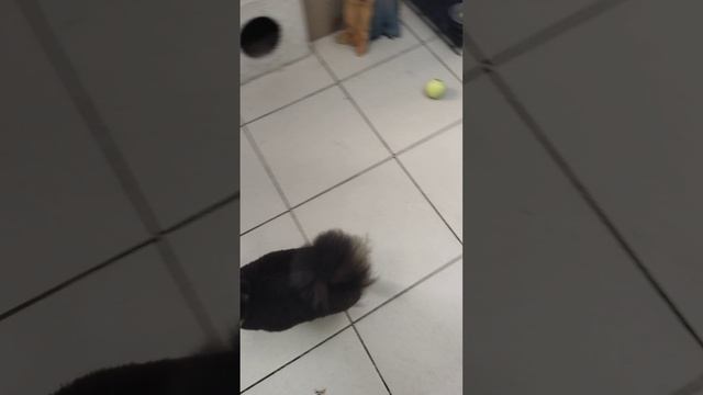 мимимишка 😍