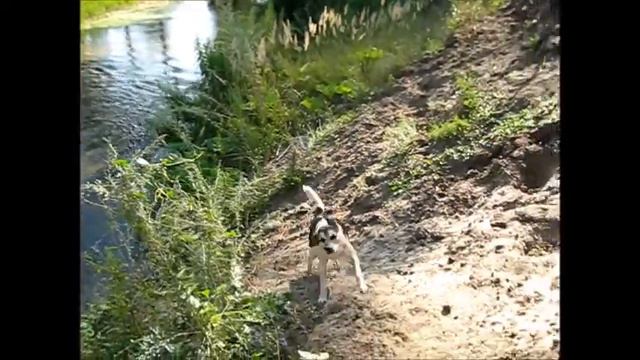 Щедрищево смотреть онлайн