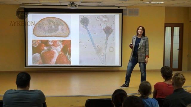 Грибы как особая форма живых организмов / Екатерина Сафонова, преподаватель АмГПГУ смотреть онлайн