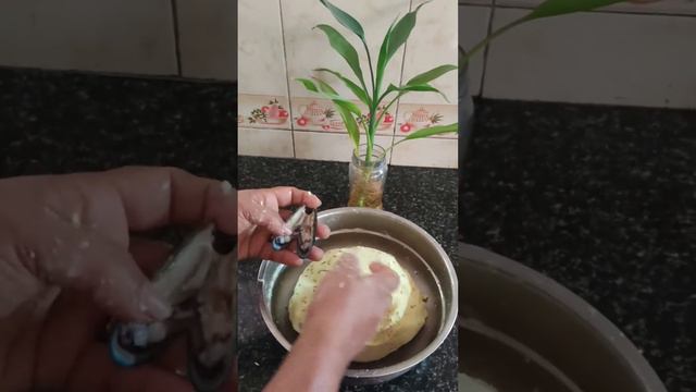 കല്ലുമ്മക്കായ നിറച്ചത് |Stuffed Mussels|Arikadukka|Easy Recipe Malayalam|With love from Kannur смотреть онлайн