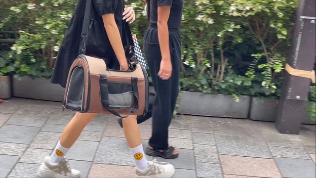 Как одеваются в Японии. Гуляем по улицам. Немного комментариев и шум улиц в Токио. смотреть онлайн