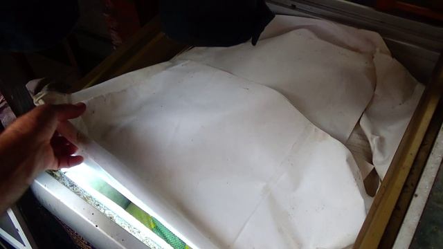 Получаю ПЕРГУ и ПЖЛВМ смотреть онлайн