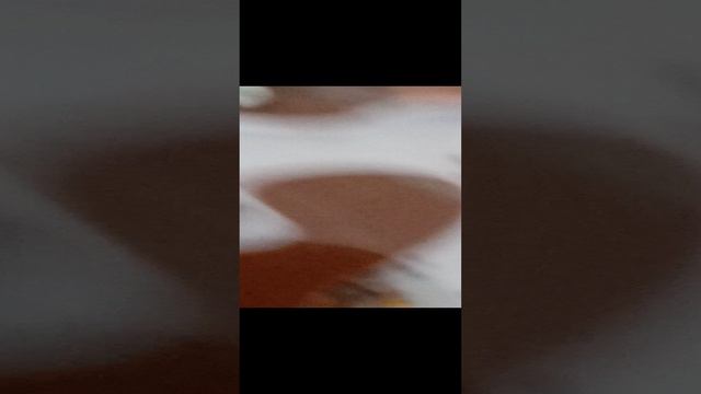 Муравьиная матка.mp4 смотреть онлайн